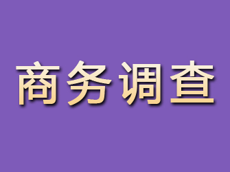 合浦商务调查